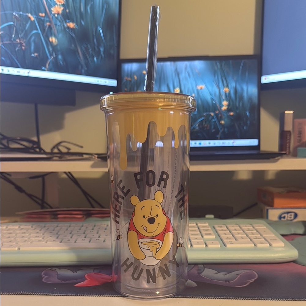 New Winnie the Pooh Tumbler with Straw 20 oz